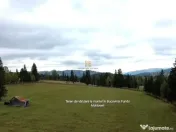 Teren 2804 mp, la munte! In Bucovina – Fundu Moldovei! 