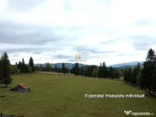 Teren 2804 mp, la munte! In Bucovina – Fundu Moldovei! 