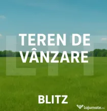 Teren de vanzare, 6736 mp intravilan + extravilan - Rachiti,
