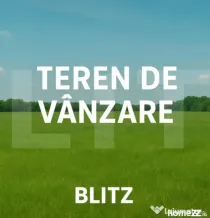 Teren de vanzare, 6736 mp intravilan + extravilan - Rachiti,