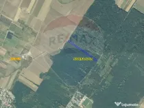 Teren 10,000mp Afumati | Padure | Soseaua Petrachioaia