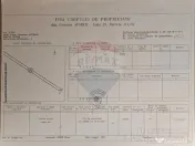 Teren 10,000mp Afumati | Padure | Soseaua Petrachioaia 