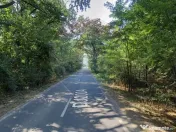 Teren 10,000mp Afumati | Padure | Soseaua Petrachioaia 