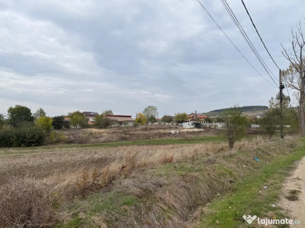 Teren extravilan 8665 mp, Fratostita, Filiasi, COMISION ZERO