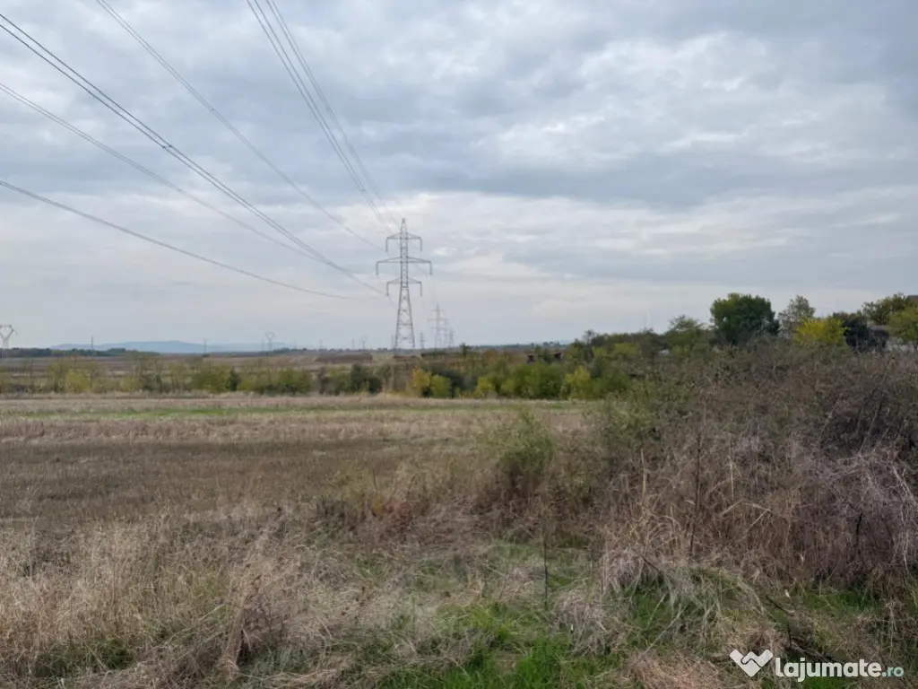 Teren extravilan 8665 mp, Fratostita, Filiasi, COMISION ZERO
