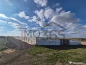 Teren intravilan Bradu 1000mp 25m deschidere 