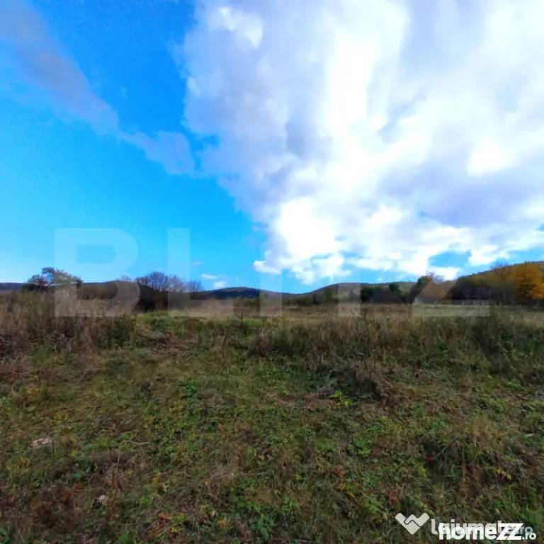 Blitz - Teren Ciurila intravilan 1.500 mp, lângă pădure! - Ciurila (Cluj)