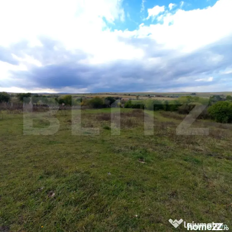 Blitz - Teren Ciurila intravilan 1.500 mp, lângă pădure! - Ciurila (Cluj)