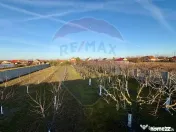 Casă impresionanta cu teren 2700mp garaj 2 masini si ter... 