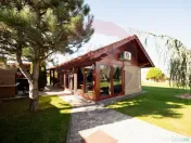 Casă impresionanta cu teren 2700mp garaj 2 masini si ter... 