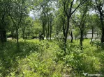 Parcelă de 3.72 ari – zonă Valea Rosie