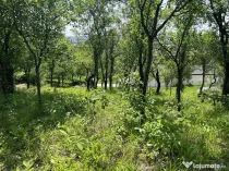 Parcelă de 3.72 ari – zonă Valea Rosie