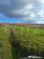 Teren extravilan, 7800 mp, intrare în Șimleu Silvanie
