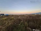 Teren intravilan granita Rasnov Cristian 890 mp 