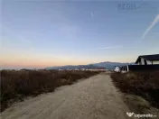 Teren intravilan granita Rasnov Cristian 890 mp 