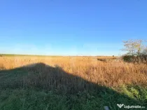 Teren intravilan 1.130 mp ,in Vetis