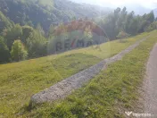 Teren extravilan, 2000 mp, Sat Peștera (com Moieciu) 
