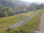 Teren extravilan, 2000 mp, Sat Peștera (com Moieciu) 