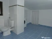 Inchiriere Vila Pipera Porsche 