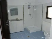 Inchiriere Vila Pipera Porsche 