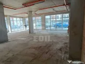 Spatiu comercial de vanzare, Terra 