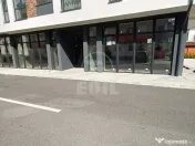 Spatiu comercial de vanzare, Terra 