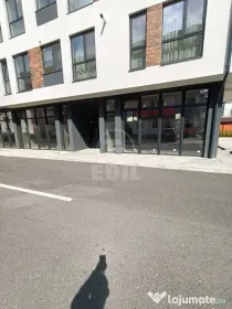 Spatiu comercial de vanzare, Terra