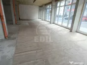 Spatiu comercial de vanzare, Terra 