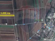 Teren Extravilan 5.000 mp Tarlungeni / Strada Zizinului 