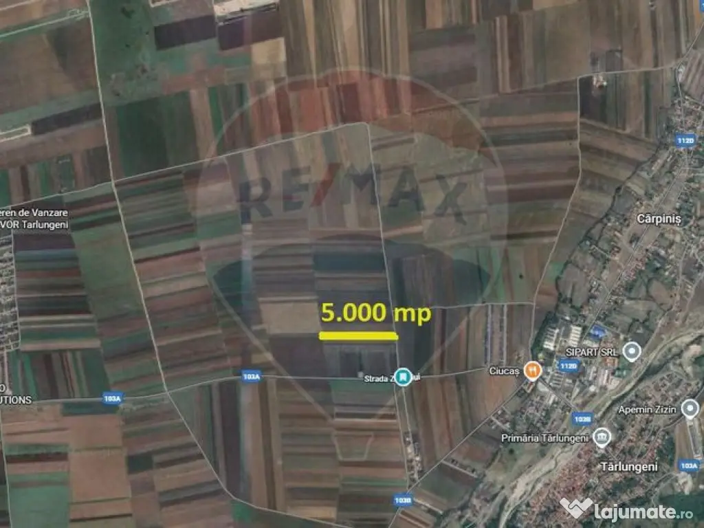 Teren Extravilan 5.000 mp Tarlungeni / Strada Zizinului
