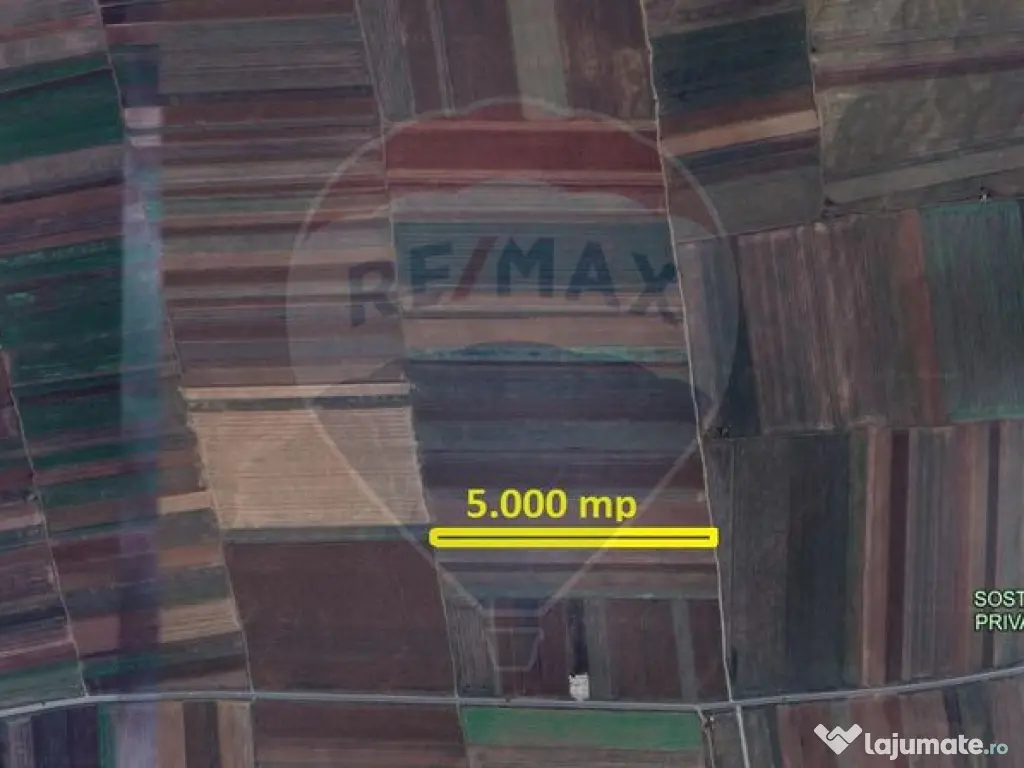 Teren Extravilan 5.000 mp Tarlungeni / Strada Zizinului