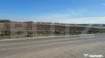 Teren extravilan de vanzare, 7300 mp, Satu Mare periferie