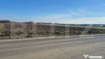 Teren extravilan, 7300 mp, Satu Mare periferie