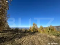 Teren extravilan de 18.769 mp in Târsa