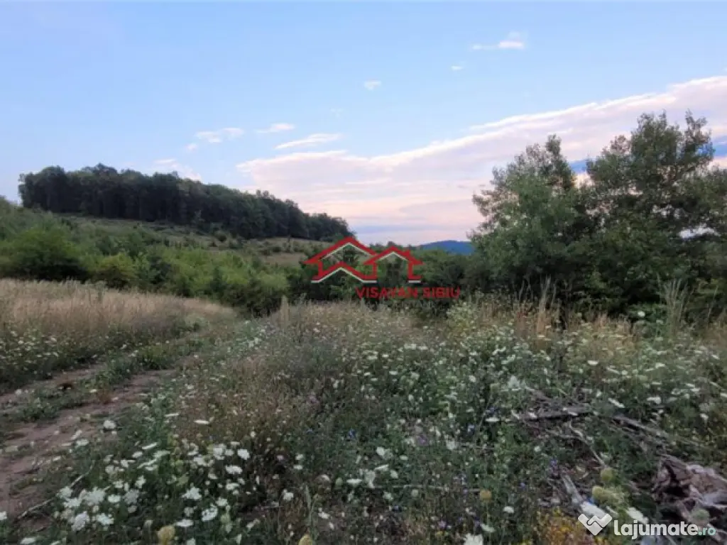 Oportunitate teren zona agrement sau parc eolian,Sibiu