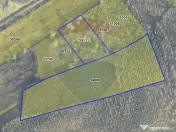 Teren / Padure 8ha Lunca Siretului. 