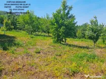 Teren zona Pietricica, cadru natural superb