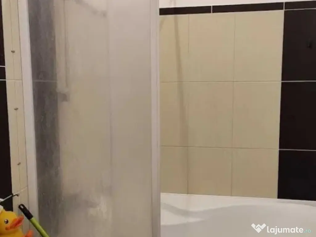 2 camere - Nicolae Teclu