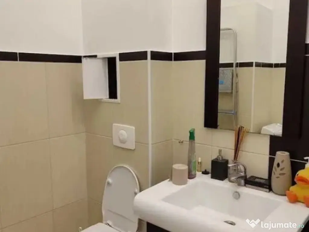 2 camere - Nicolae Teclu