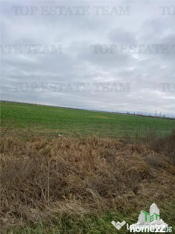 Teren Extravilan 60 HA, in Berceni-Prahova, investitie major