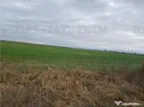 Teren Extravilan in Prahova