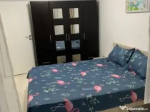 Garsoniera Piata Crangasi