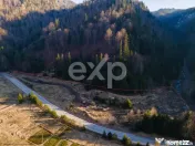 Oportunitate de investiție! Teren intravilan, Colibița, ju 