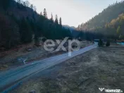 Oportunitate de investiție! Teren intravilan, Colibița, ju 