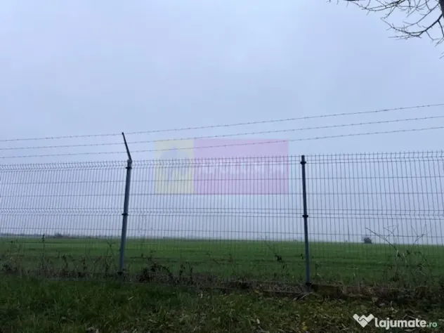 Teren Domnesti- Depozit Altex, Emag.