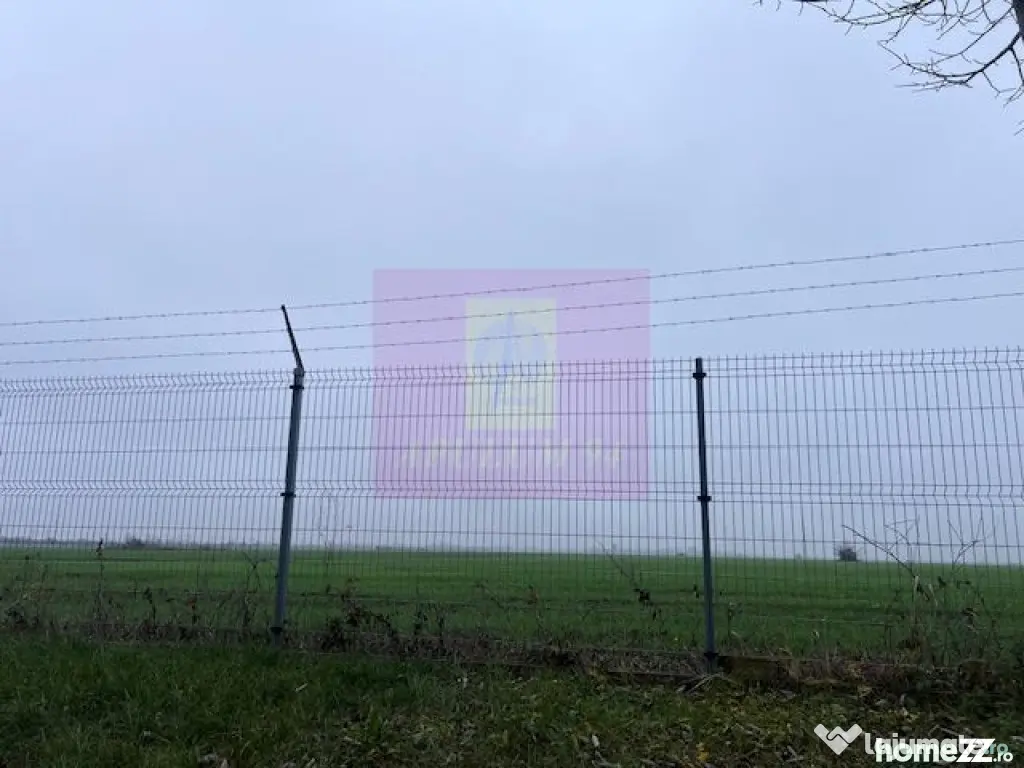 Teren Domnesti- Depozit Altex, Emag. - Domnesti (Bucuresti-Ilfov)