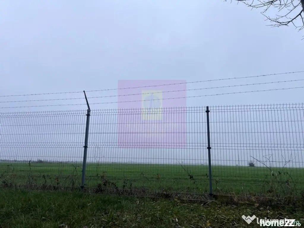 Teren Domnesti- Depozit Altex, Emag.