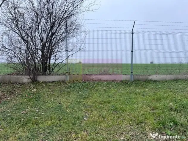 Teren Domnesti- Depozit Altex, Emag.