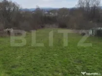 Teren intravilan 3000mp ,sat Plopu, Prahova