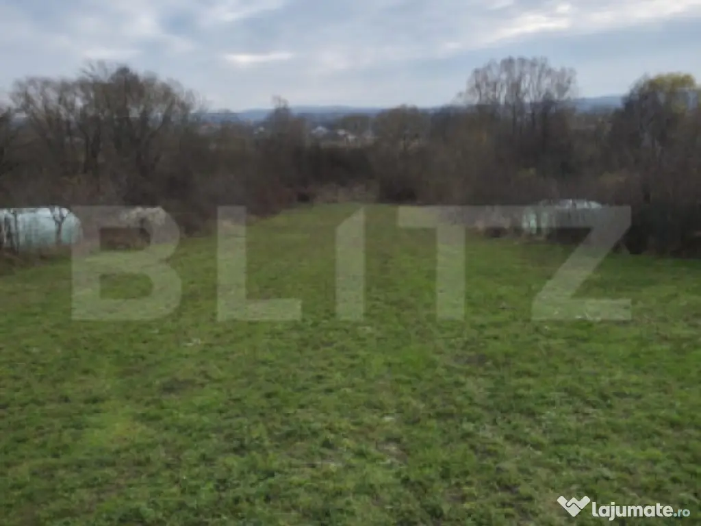 Teren intravilan 3000mp ,sat Plopu, Prahova